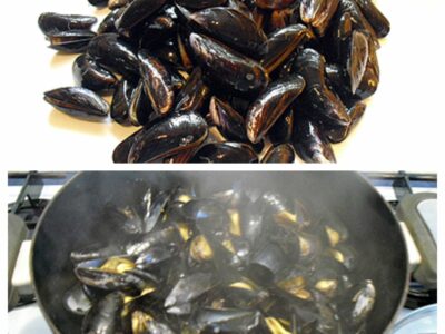 Cassolettes de moules au curry et lait de coco - 2