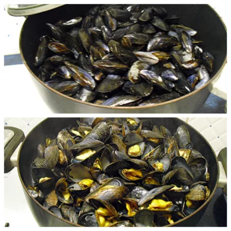 Moules à la coriandre - 4