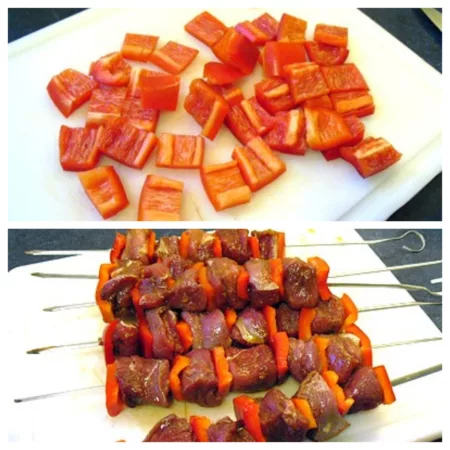 Brochettes de magret - 4