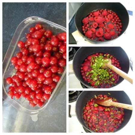 Panna cotta aux fruits rouges - 4