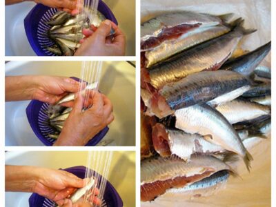 Comment faire les filets de sardines - 3