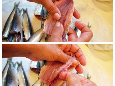 Comment faire les filets de sardines - 4