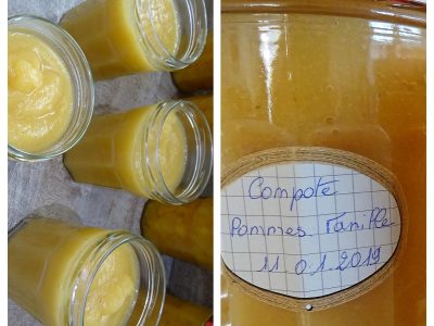 Compote pommes vanille - 4